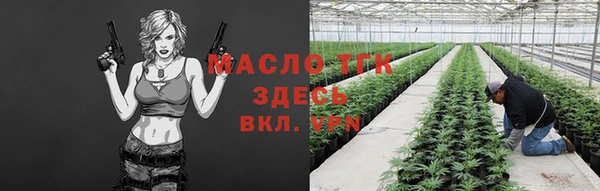 гашик Вяземский