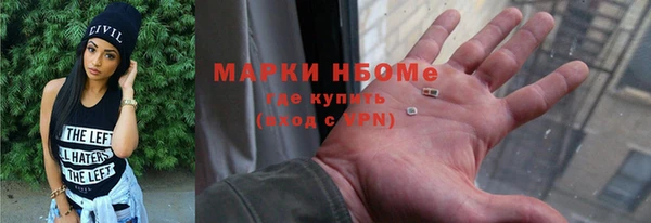 гашик Вяземский