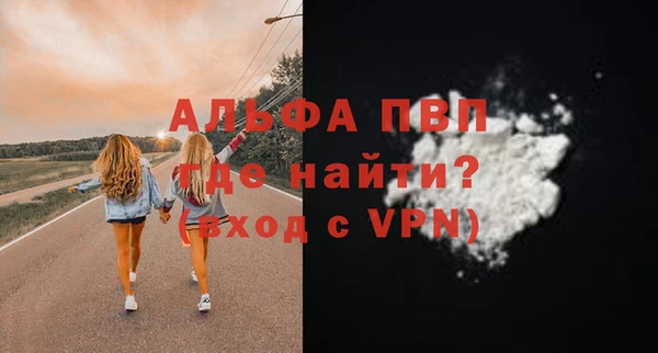 гашик Вяземский