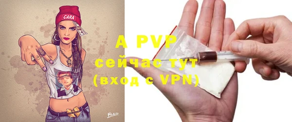 гашик Вяземский