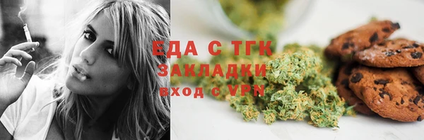 гашик Вяземский