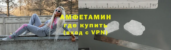 гашик Вяземский