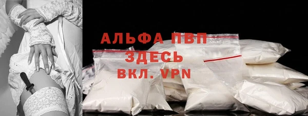 гашик Вяземский