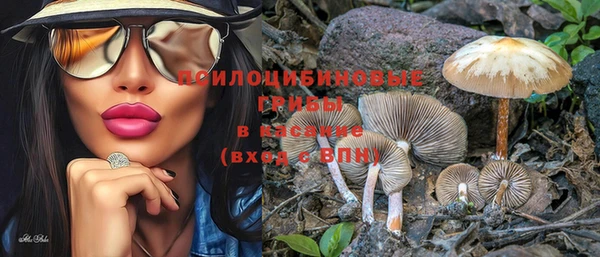 шишки Вязьма