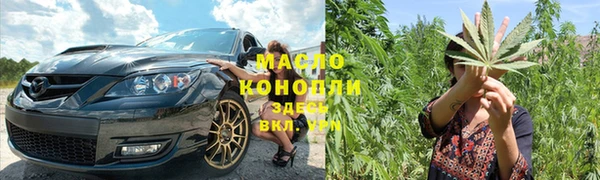 гашик Вяземский
