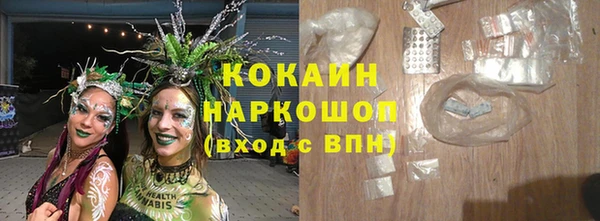 шишки Вязьма