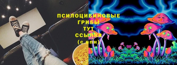 гашик Вяземский