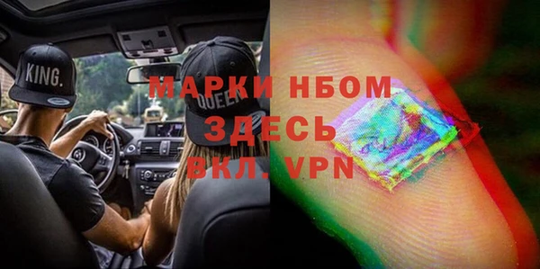 гашик Вяземский