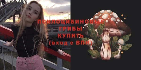 гашик Вяземский